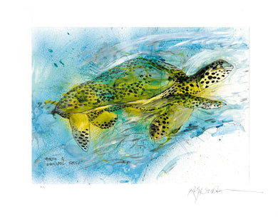 Ralph Steadman Turtle Print