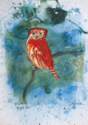 Ralph Steadman Nextinction Pernambuco Pygmy Owl Print